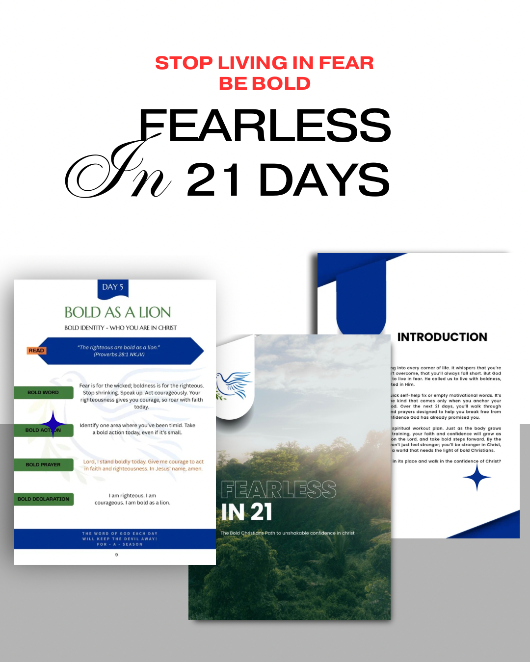 Fearless in 21: The Bold Christian's Path to Bold Confidence (E-Book)
